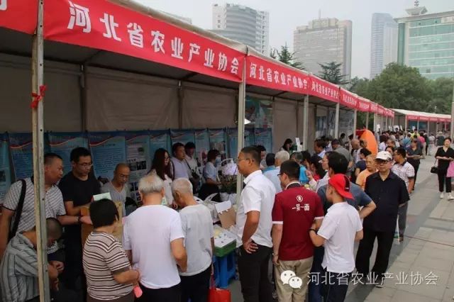省農(nóng)業(yè)產(chǎn)業(yè)協(xié)會(huì)組織會(huì)員參加 “2016年全國科普日河北省主場活動(dòng)”，受到歡迎