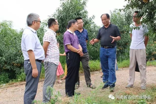 協(xié)會組織媒體記者赴常務(wù)理事單位行唐縣新農(nóng)生態(tài)農(nóng)業(yè)開發(fā)有限公司參觀、交流