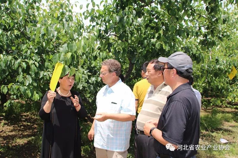 美國農(nóng)業(yè)專家應(yīng)邀來我省指導(dǎo)特色果樹、苗木種植管理技術(shù)