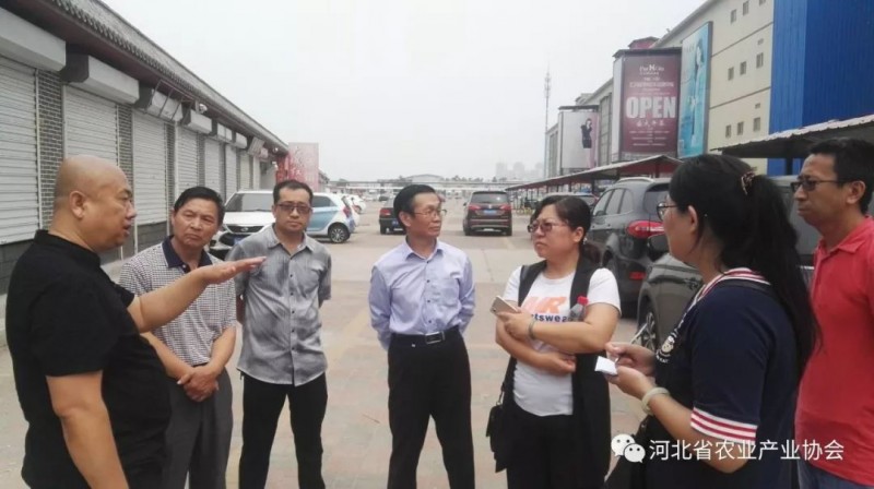 孫悅明會長帶隊赴天津、白溝等地進行市場考察