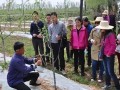 蘋果拉枝有技巧，這些竅門要記牢！不懂別亂拉！