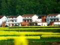 農(nóng)村宅基地20問，每一問都和你有關(guān)