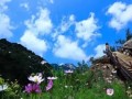 河北要建100個旅游特色小鎮(zhèn)，有你家鄉(xiāng)嗎？