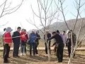 治蟲不見(jiàn)蟲，才是高水平！果樹(shù)病蟲害防治最佳時(shí)機(jī)到了！