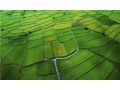 高標(biāo)準(zhǔn)農(nóng)田建設(shè)是啥？居然能讓收入翻倍！