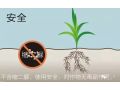 這才是肥料袋上的“關(guān)鍵”！