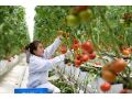 @農(nóng)民朋友，想增收致富嗎？高素質(zhì)農(nóng)民培養(yǎng)來了！