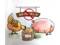 飼料“禁抗”新政出臺，行業(yè)準備好了嗎？