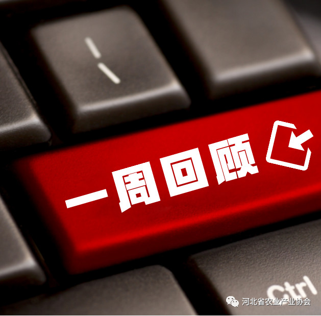 看看協(xié)會(huì)一周做了啥？